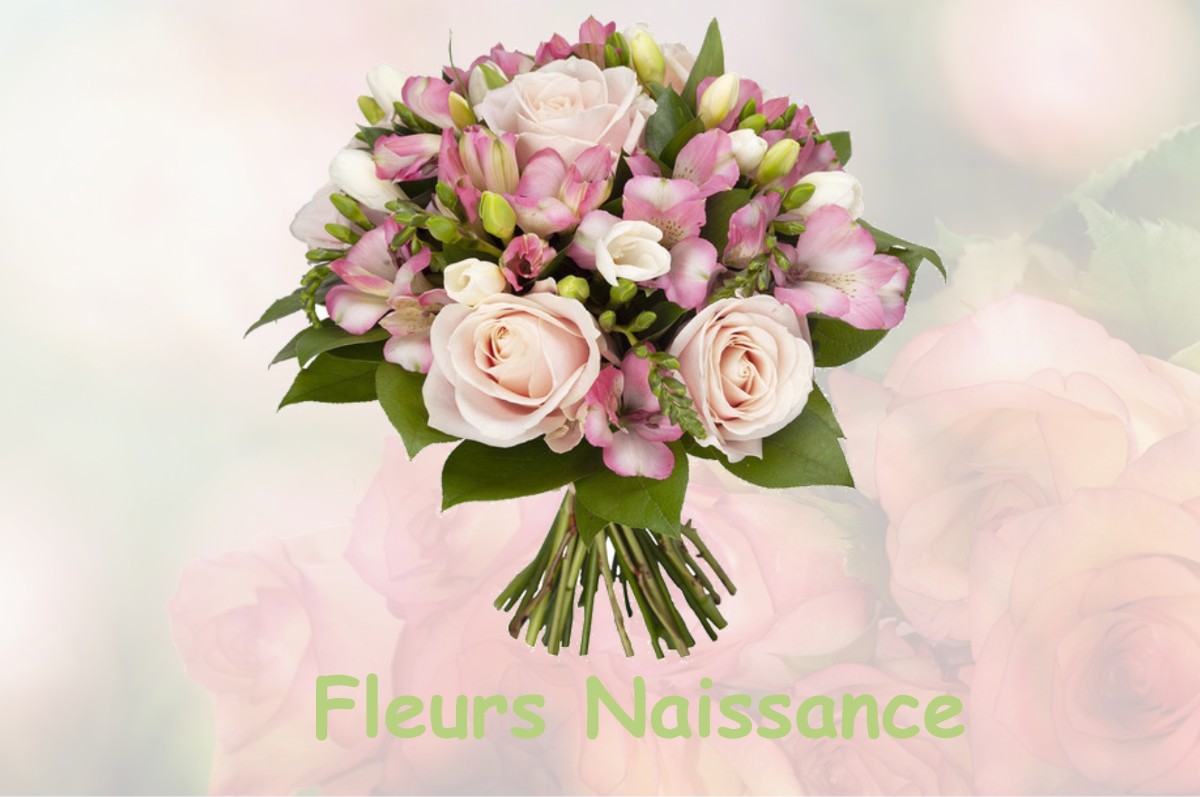 fleurs naissance MONTIGNY-DEVANT-SASSEY