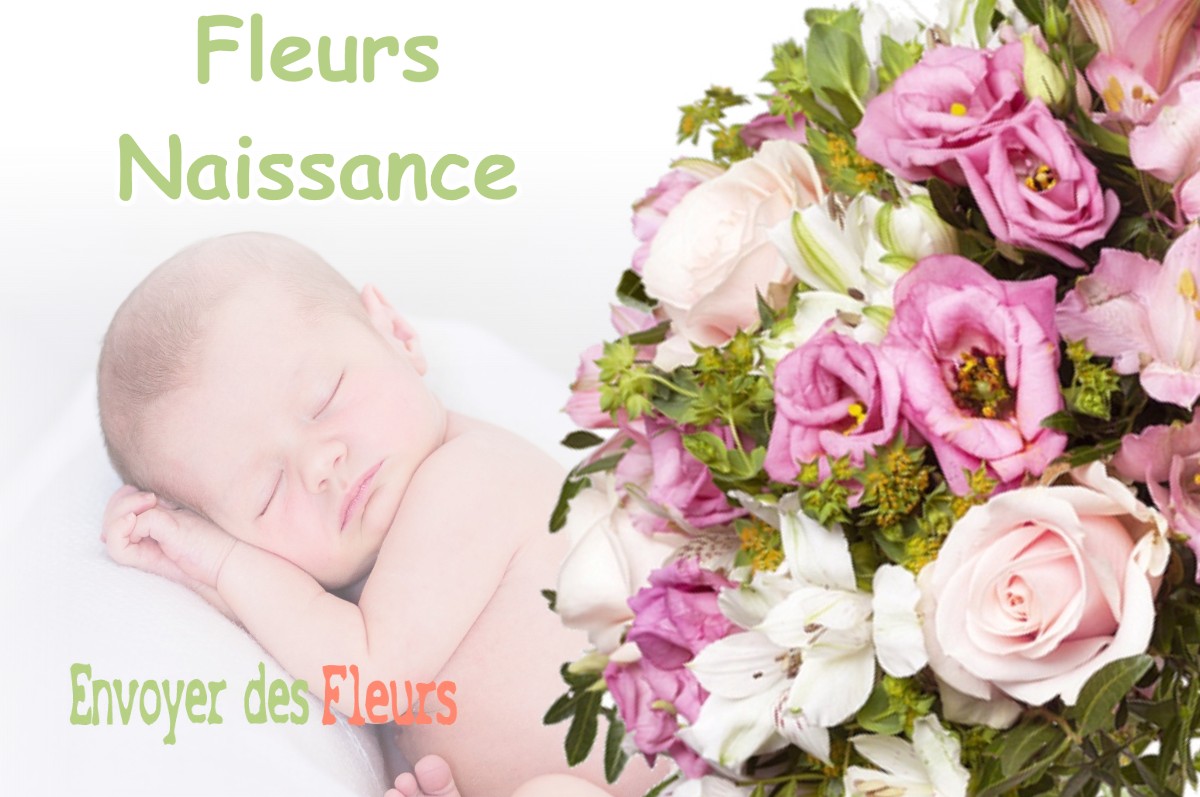 lIVRAISON FLEURS NAISSANCE à MONTIGNY-DEVANT-SASSEY